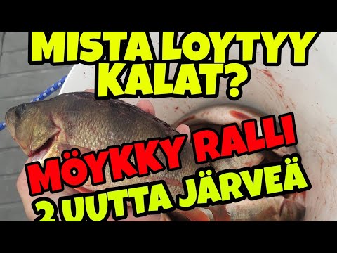 Pottukoira kalastaa vol 108- mistä löytyy syksyn kalat- 2 uutta järveä- möykky ralli