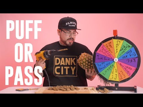 Dank City | Puff or Pass | Suntown Kid