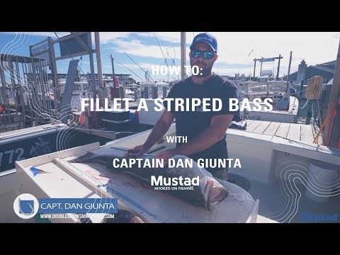 Easy How to fillet a striped bass