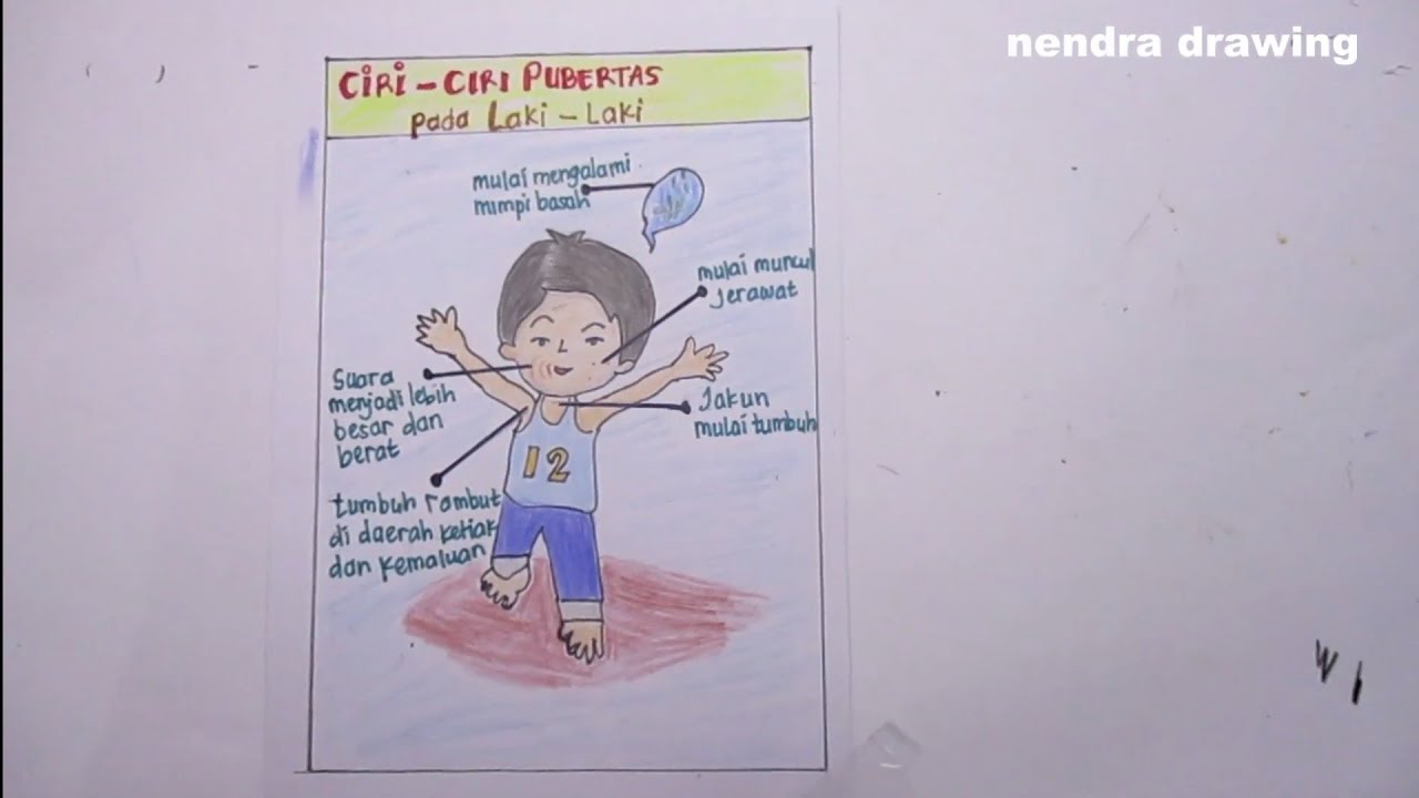 cara membuat poster pubertas mudah(laki -laki)