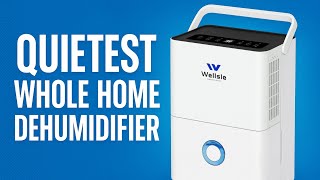 Quietest Whole Home Dehumidifier I've Ever Reviewed — And Maybe the BEST!