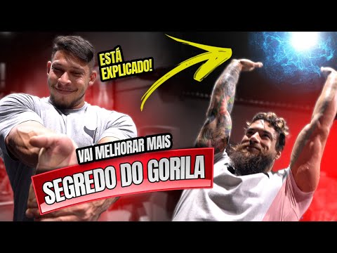 GORILA FAZ REVELAÇÃO PARA RAMON DINO!