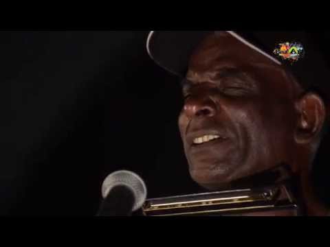 BAZ'ART SESSION'Z - KODOK - No cocain