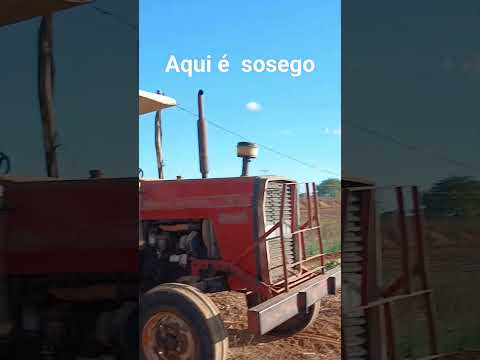 #João Dourado bahia #nordeste
