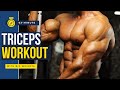 HOW I BUILT MY TRICEPS | Triceps Workout 2022 | @Rahul Fitness Official