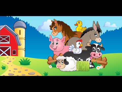 Kids Farm Animal Color Scratch Video