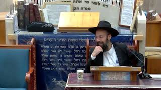 הרב יצחק קשאני פרשת נח תשפ ו
