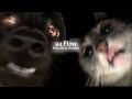 94 Flow Paise Di A Game Fame Chase Karde Big Boi Deep Slowed Reverb Smoothly Reverb