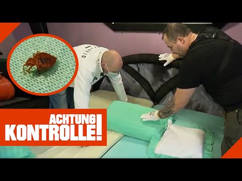 "Hallo Fridolin!" Bettwanzen überall im Bett! | 2/2 | Kabel Eins | Achtung Kontrolle