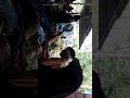 Main Kacapi Dina Mirig Sungkeman
