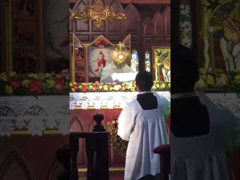 Bênção do Santíssimo Sacramento | La Luce di Maria