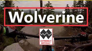 First ride down Wolverine in Sentiers du Moulin.