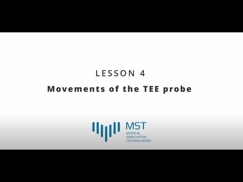 MST Masterclass - Lesson 04 - Movements of the TEE probe