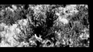 GORD BAMFORD POSTCARD FROM PASADENA