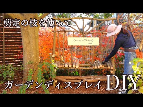 冬の枝を使った装飾のアイデア ライフスタイル