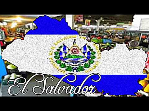 El Mercado  -  Fiebre Amarilla