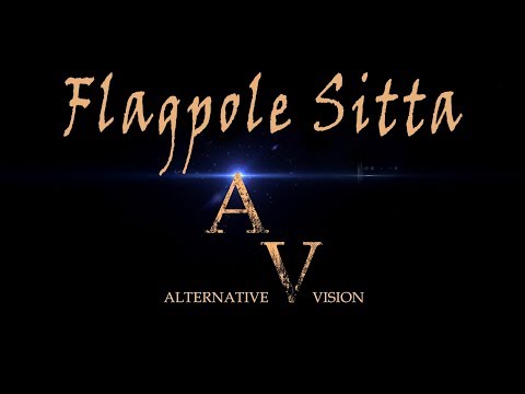 2017 - Flagpole Sitta - Cover by Alternative Vision