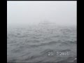 WHALE WATCH IN FOG OFF GLOUCESTER MASS 2007