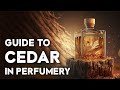 Cedarwood notes in perfumery, a perfumer's guide