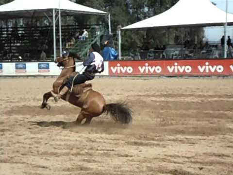 prova aspirante etapa bayard sarmento-FREIO DE OURO 2011-Ginete Moacir Balestrin-Dac Deslinde