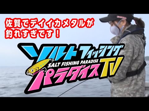 佐賀でデイイカメタルが釣れすぎです！（ソルパラTV・第38回2021年6月17日放送）
