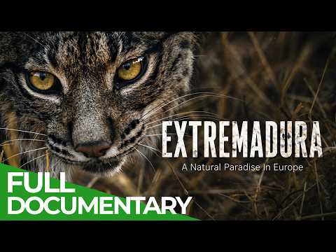 Extremadura: A Natural Paradise In Europe