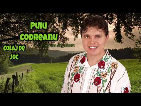PUIU CODREANU - Colaj de Joc 2021 (Muzica de calitate )