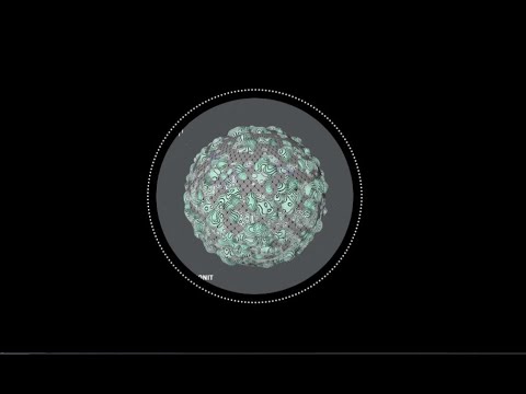 Sara Simonit - Hallucination [MINUS005]