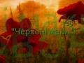 "Червоні маки" гурт "Крайня хата" 