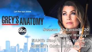 Grey's Anatomy Soundtrack - "Stop Where You Are" by Corinne Bailey Rae (12x20)