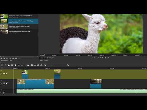#1 Videoschnitt mit Shotcut für Einsteiger/innen