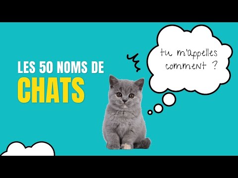 Il s'appelle comment, ton chat Noms de chat 2023