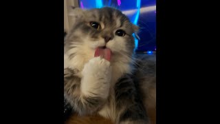 飯食いながら雑談、その後ARK・・・？