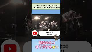 新宿のネコ　オリジナル #アコースティックギター #弾き語り #オリジナル曲弾き語り #新宿のネコ #shinjuku #cat