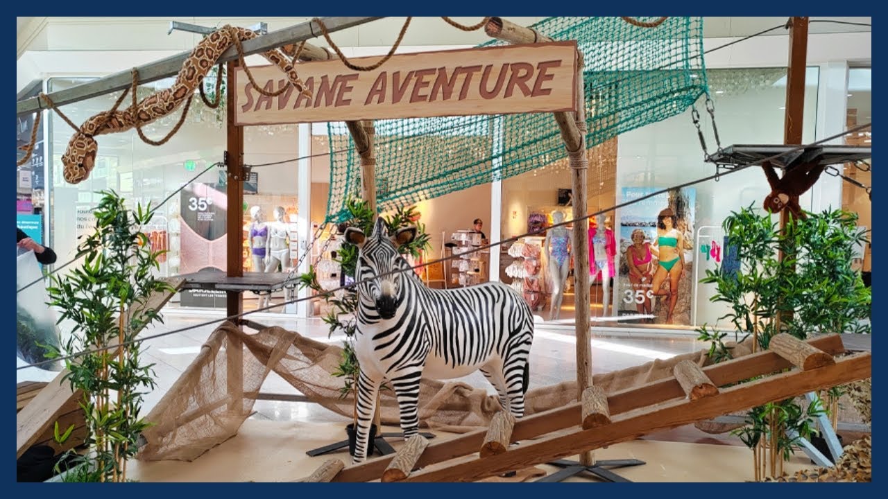 Vignette de la vidéo