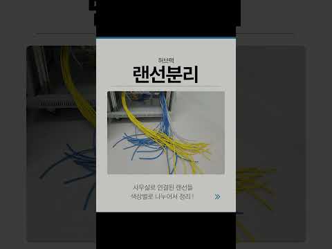 IT벤처기업 사무실 통신공사 완료 ! #shorts #사무실인터넷 #네트워크공사 #랜선공사
