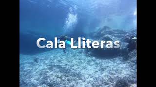 Cala Lliteras Julio 2018 | CALA LLITERAS - MALLORCA - BALEARES - Baleares Cala Lliteres Spain foto 6