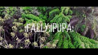 Fally Ipupa - Canne à sucre (Clip officiel)