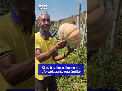 São Sebastião do Alto mostra a força da agricultura familiar