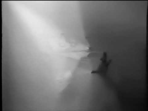 Helena Almeida Pintura Habitada (2006) #1