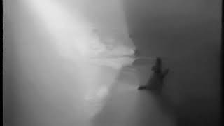 Helena Almeida Pintura Habitada (2006) #1