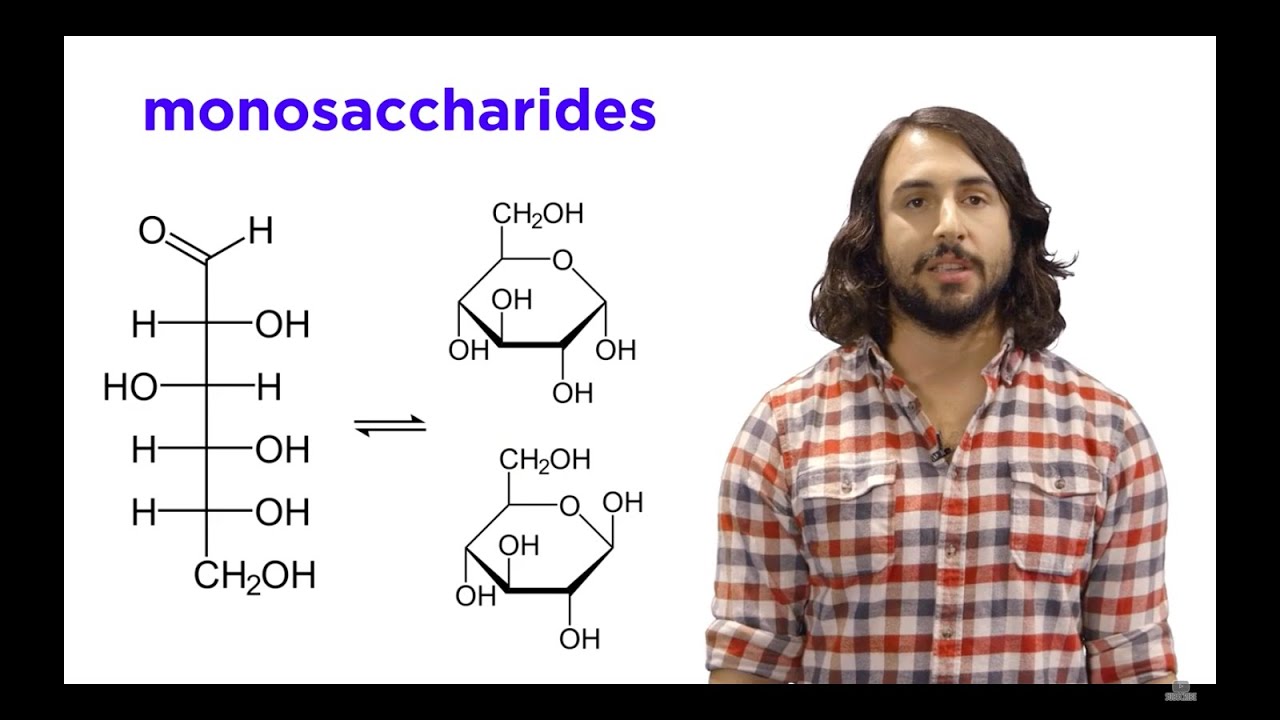 Carbohydrates Part 1: Simple Sugars and Fischer Projections