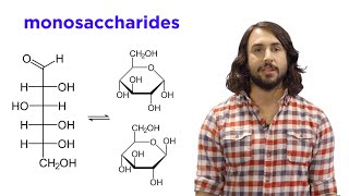 Carbohydrates Part 1: Simple Sugars and Fischer Projections