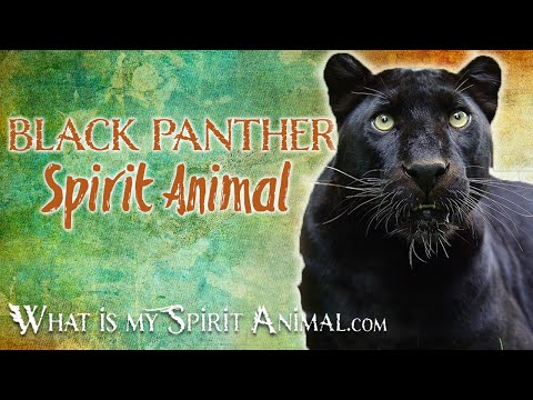 Black Panther Spirit Animal | Black Panther Totem, Power Animal | Black Panther Symbolism & Meanings