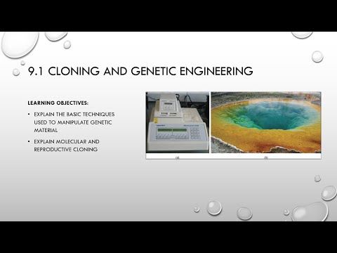 Cloning and Genetic Engineering Course | Modern Biotechnology and Genetic Modification