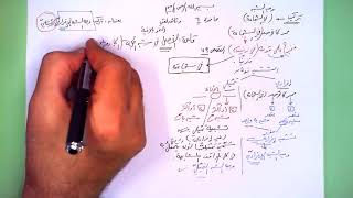 6 ★ تركيب وجه الشبه الإفراديّ الأساسيّ image