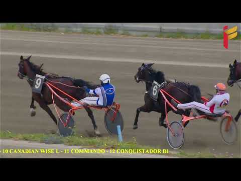 VI Corsa del 30 Aprile 2022 - 4 Anni - Metri 1600