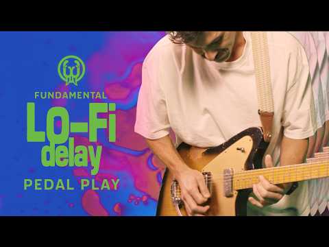 Walrus Audio Fundamental Lo-Fi Delay Pedal Play