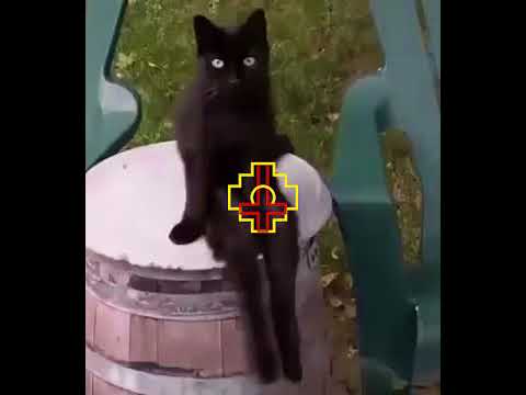 Tigre De Vengarla - Akto Vandaliko Ft PunkoelPeorR (Prod.La RecOn)