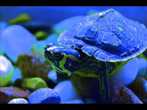 Dj Crow-Trance Classic